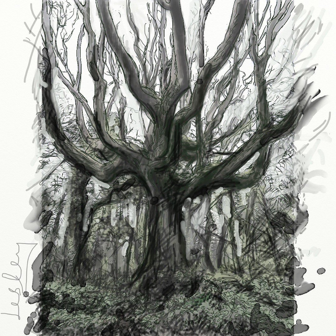 Enchanted Tree – LesleyScoble.com