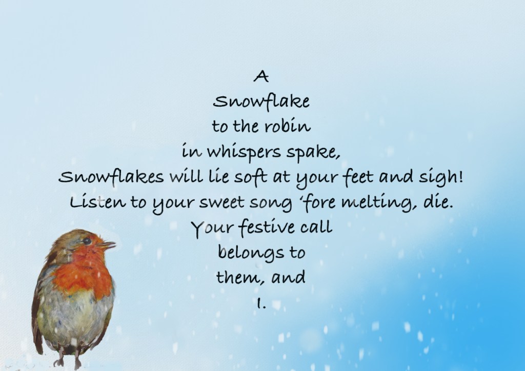 A poem about a robin and a snowflake
