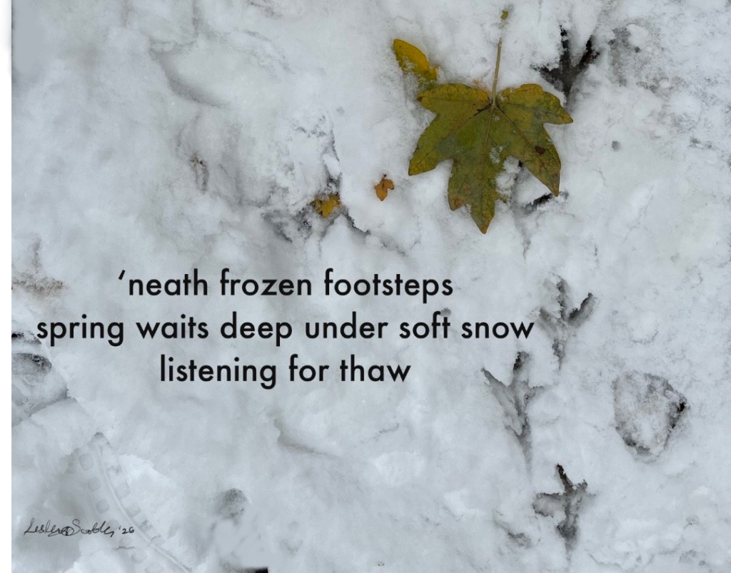 Thaw: Haiga and&nbsp;Audio