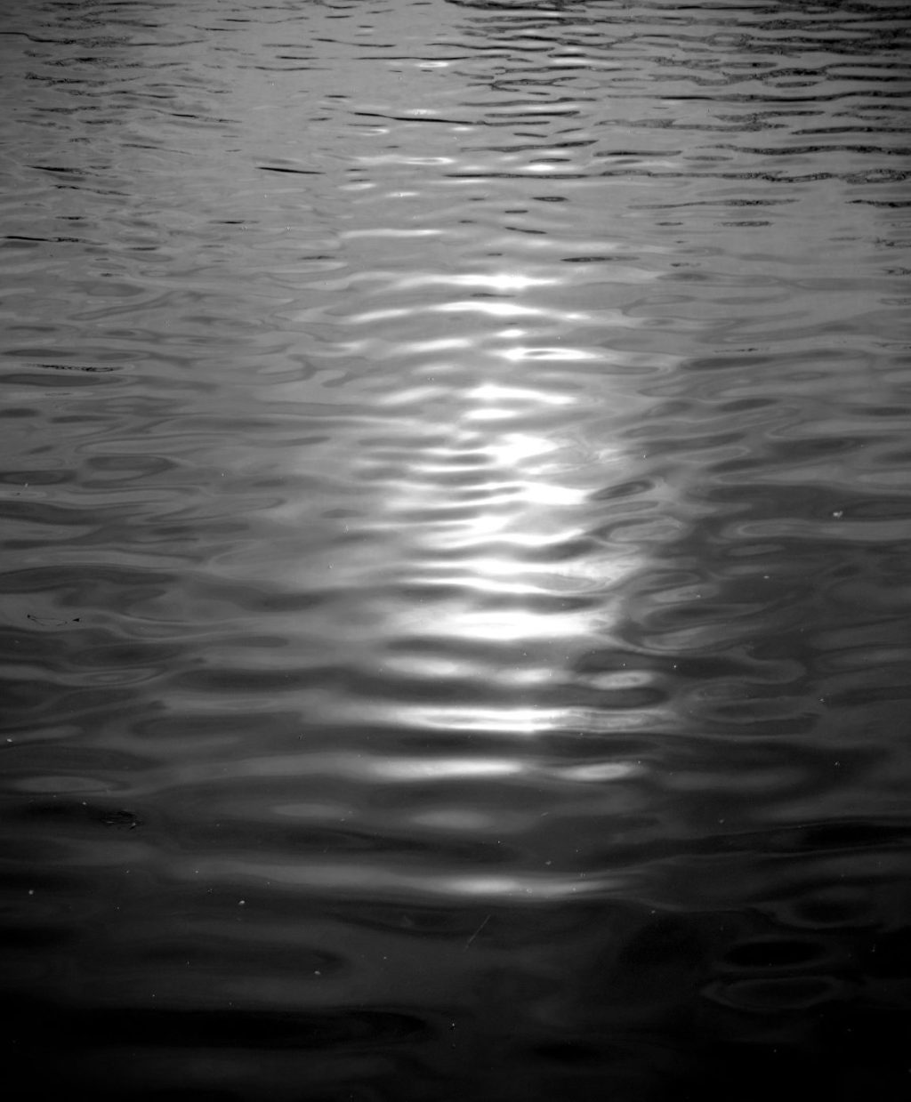 Moonpath: Imagist Tanka&nbsp;Poem