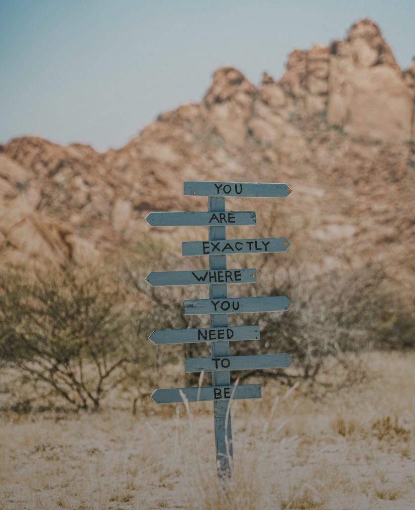 This image shows a sign with arrows pointing in different directions. The message on the arrows say- “ You are exactly where you need to be” In the background, one can see mountains and a few bushes.
