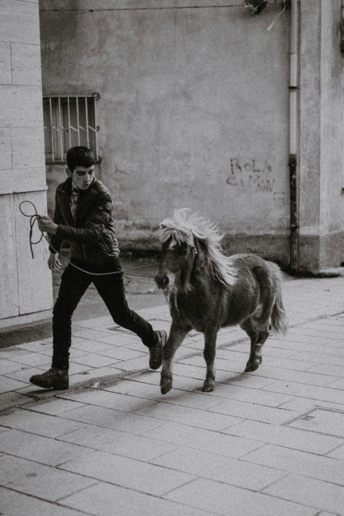 The image depicts a “young man walking a pony on a city street, showcasing urban equestrian life.”
