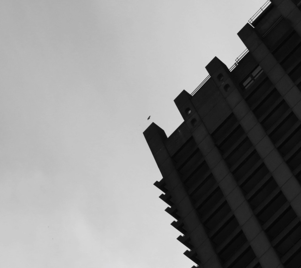 A silhouetted peregrine falcon flies over a Barbican tower. The photo by Lesley Scoble is in black and white.